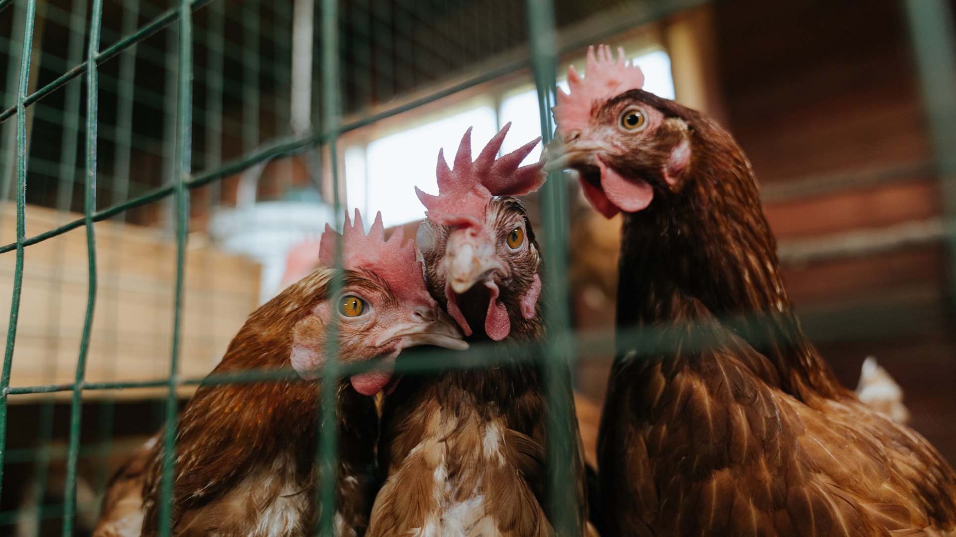 KAIYUNAPP-体育赛事风险评估与控制措施，体育赛事风险评估与控制措施包括