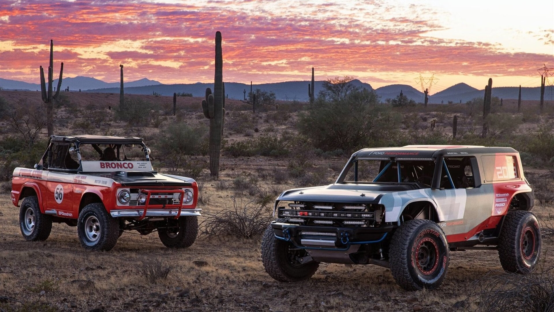 开云真人-体育赛事风险评估体系，体育赛事风险评估体系包括