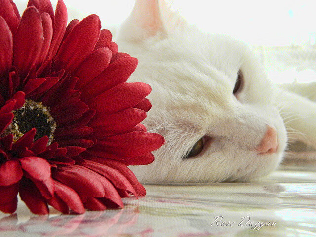 中国男篮海外拉练总结会提出提升防守执行力关键策略,中国男篮训练视频